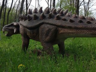 Ankylosaurus